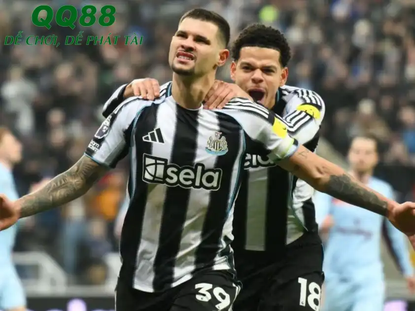 Newcastle cần lấy lại được sự tự tin ở chặng đường tiếp theo của mùa giải (Ảnh: Goal) Newcastle cần lấy lại được sự tự tin ở chặng đường tiếp theo của mùa giải (Ảnh: Goal)